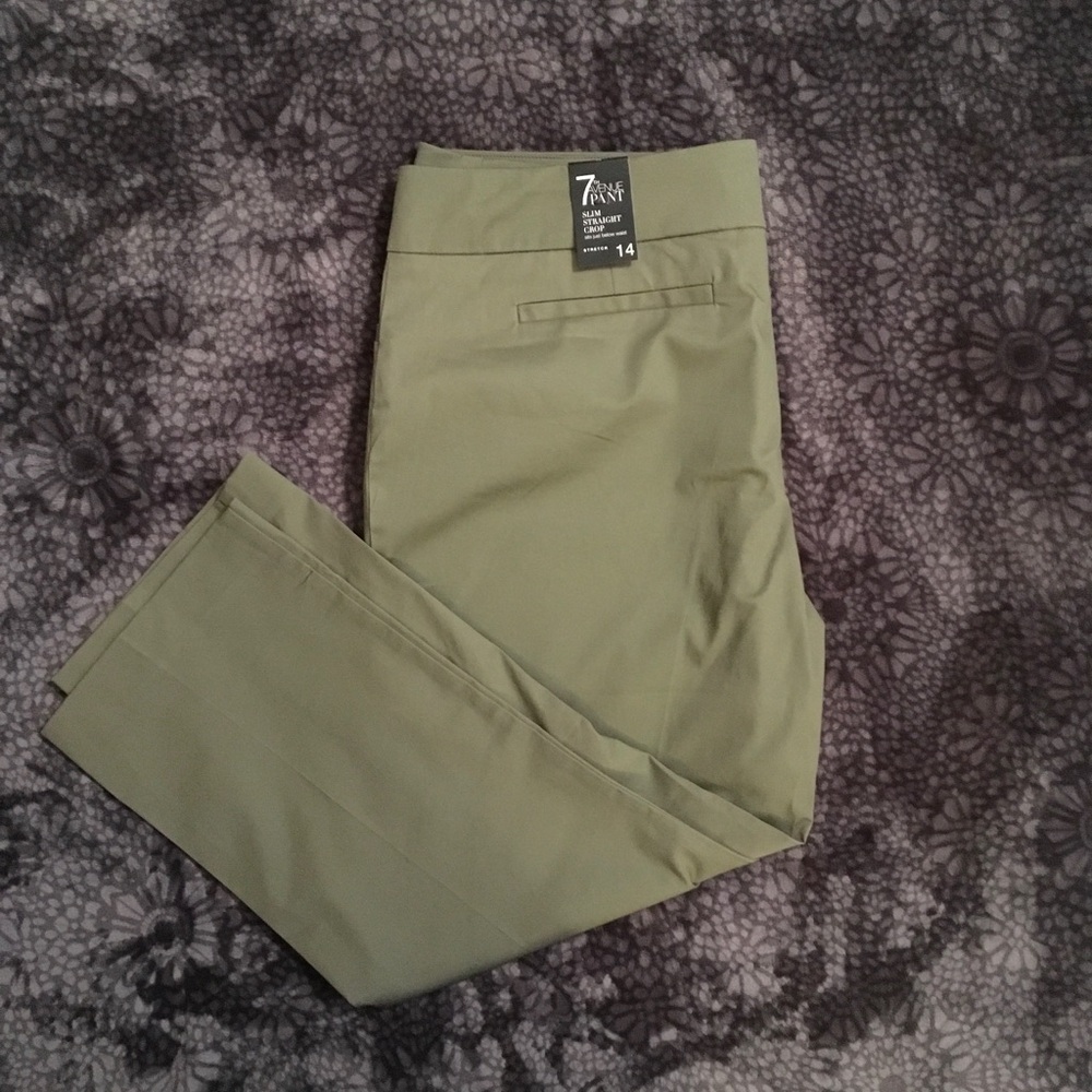 NWT New York & Company Green Crop Pants